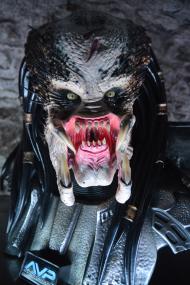 Предатор Предатор