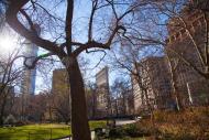 New York City Serenade