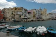 Purple Noon